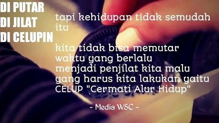 Uji Kemurnian Madu Metode 3D