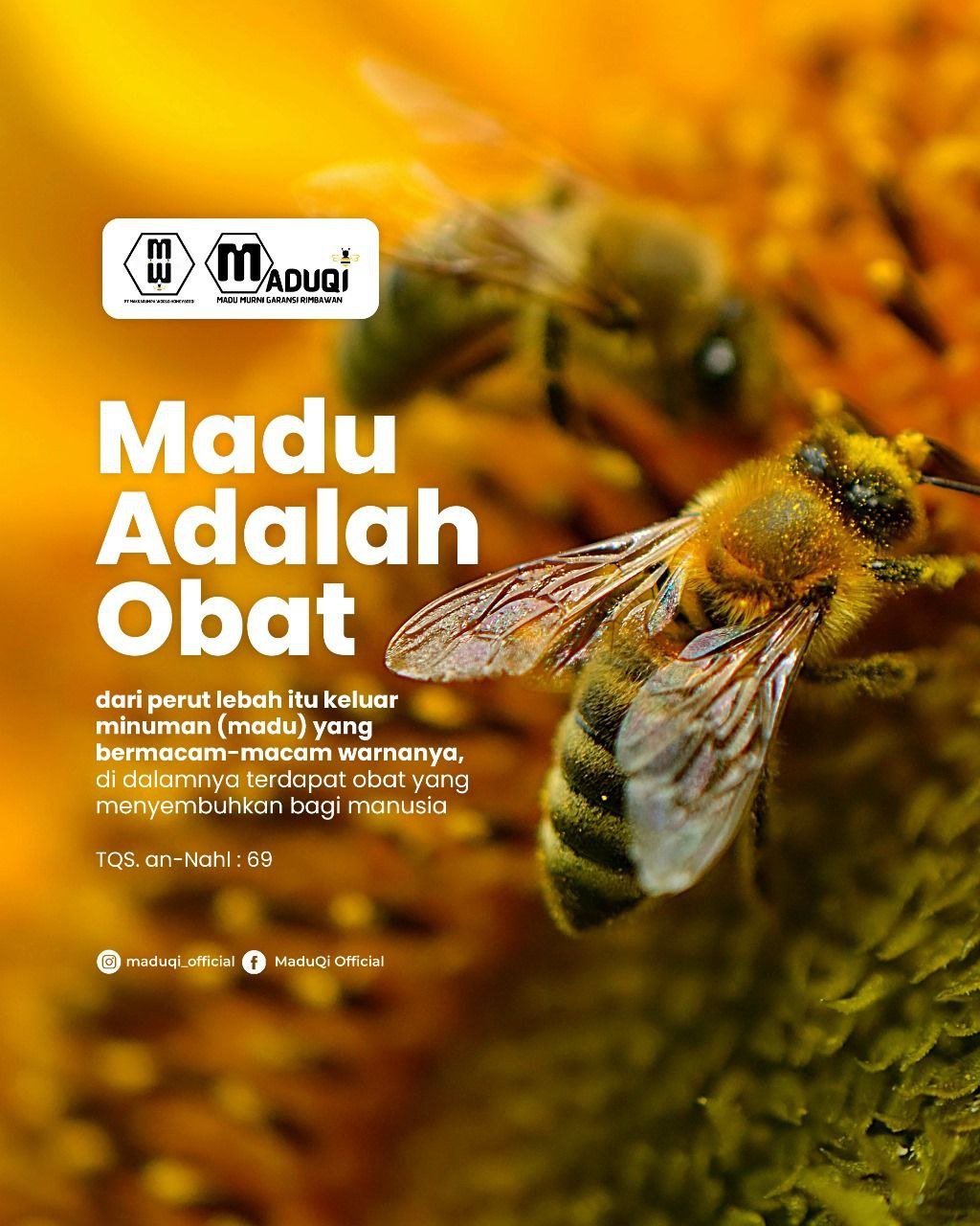 Madu: Obat Alami yang Disebut dalam Al-Quran dan Hadits